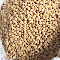 Pakistani Kabuli Chola Boot dal 1000g