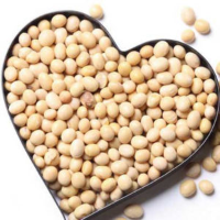 Dabli Chotpoti (Motor) Dal I ডাবলি চটপটি মটর  ডাল I 1kg